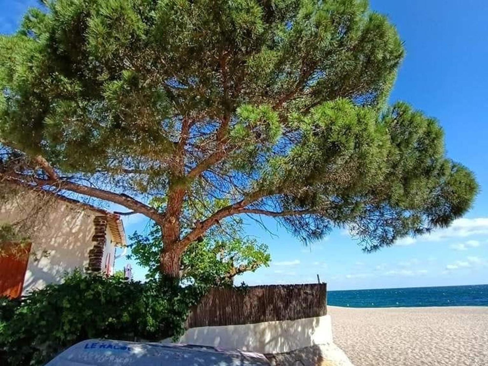 Pavillon 6 Pers A Argeles-Sur-Mer: Piscine, Clim, Parking, Wifi, Proche Plage - Fr-1-776-5 Esterno foto